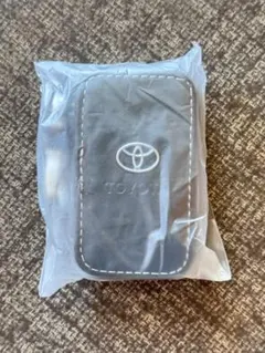 Item thumbnail for item 7f42999c-0f61-4945-8b8d-d2cff0872d21