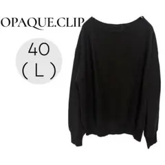 オペークドットクリップ ニット ( 40 サイズ ) 長袖 シンプル セーター