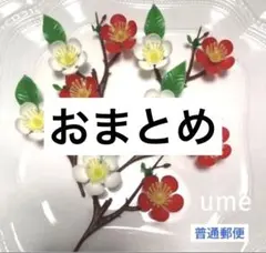 のん様 リクエスト 2点 まとめ商品