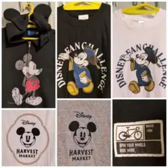 6枚　ディズニー 40周年 Tシャツ パーカー　ハーベストマーケット　ミッキー