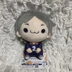 ハイキュー　もちぴこ　ぬいぐるみ　菅原孝支　③