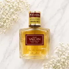 カネボウ kanebo バルカン VALCAN オードトアレ 120ml - メルカリ