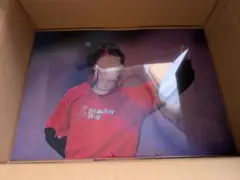 すとふぇす ふぁみくじ らおくんポスター