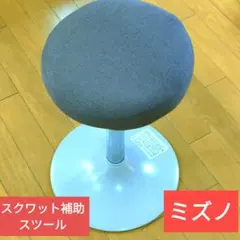2026年最新】mizuno ミズノ スクワットスリールの人気アイテム - メルカリ