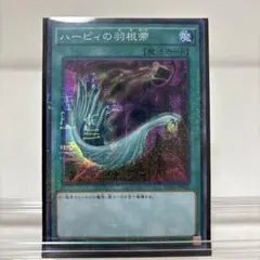 ハーピィの羽根箒 ホログラフィック - メルカリ