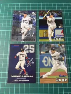 Item thumbnail for item 35c6f1a3-7213-4c33-9f0f-7d2ed295b752