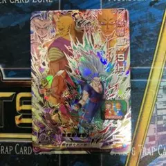 ドラゴンボールヒーローズ 孫悟飯:SHのサムネイル