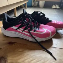 ナイキ ランニングシューズ