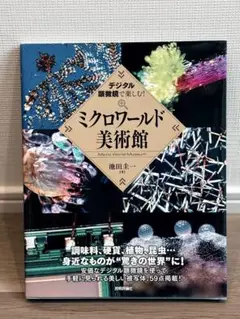 ミクロワールド美術館 池田圭一
