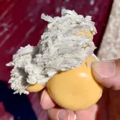 Item thumbnail for item 9cdc9104-54d0-48d9-a9e6-37a4d4dd5782