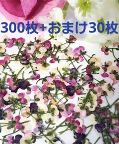 くまさん様 リクエスト 2点 まとめ商品