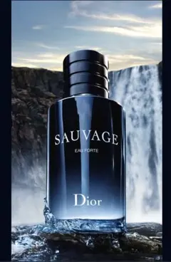 Dior ソヴァージュ パルファン100mL