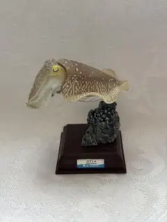 コブシメ フィギュア 鳥羽水族館 ガチャ 奇譚クラブ コブシメ フィギュア 鳥羽水族館 ガチャ 奇譚クラブ コブシメ