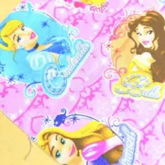 ディズニープリンセス★ピンク×ラメ★オックス