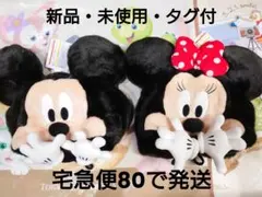 ★新品タグ付★ディズニー❤ミッキー♡ミニー♡ファンキャップ❤被り物♡匿名配送