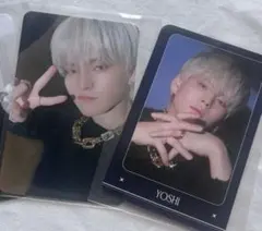 treasure ヨシ　ナイトガーデン　トレカ