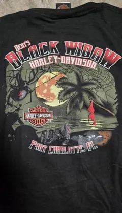 Harley-Davidson Tシャツ ブラックのサムネイル