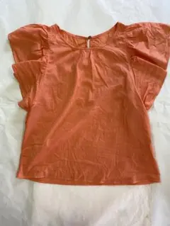 Item thumbnail for item 04ec5fe3-97ba-4eca-b04e-baa995e5482d