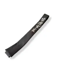 ☆美品 ヨウジヤマモト 引責辞任 ブラック ネクタイ - メルカリ