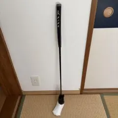 PING ANSER2 2021のサムネイル