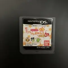 DS ソフト　たまごっちのプチプチおみせっち ごひーきに