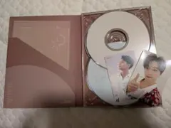 SEVENTEEN　セブチ　舞い落ちる花びら