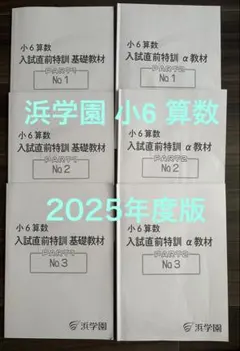 浜学園小6男子最難関 日曜志望校別特訓 - メルカリ