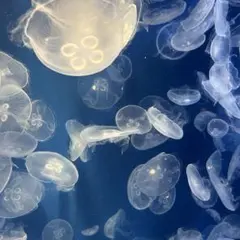 丁寧梱包@ユノ 様 専用ページ