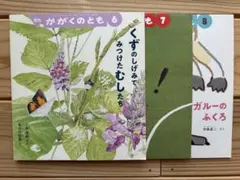月刊『かがくのとも 2020年6〜8月号』3冊セット・福音館書店