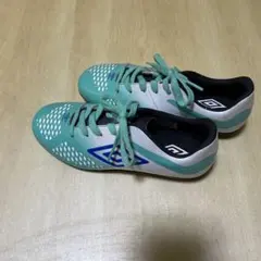 Item thumbnail for item 9b6f8c15-9e5b-4811-90b7-642fe7670691