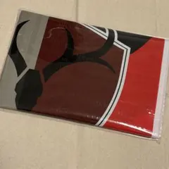 鹿島アントラーズ レジャーシート