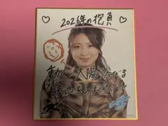 Item thumbnail for item 733fdb6e-8f06-4f03-948b-67a7e16f5893