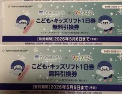 Tomoっち☆さま専用　たんばら　こども　リフト券　2枚