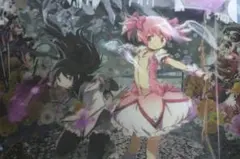 c❌ 魔法少女まどか☆マギカ❌ 　鹿目まどか　&　暁美ほむら　クリアファイル
