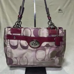 COACH コーチ シグネチャー キャリーオール トートバッグ F17140