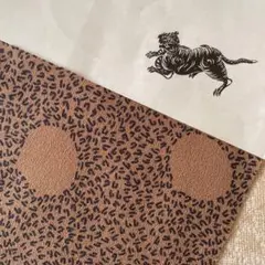 Item thumbnail for item 22a9d183-2134-4217-868c-a438dda7039f