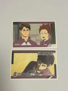 ハイキュー!! 白鳥沢学園高校 天童覚 牛島若利 五色工 カード