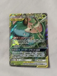 フシギバナ＆ツタージャGX RR