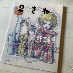 Item thumbnail for item 59b29b5f-0faf-4224-9b8a-b3788794abe5