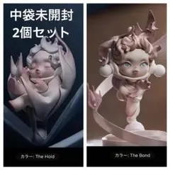 SKULLPANDA Paradox スカルパンダ　パラドクス　2個セット