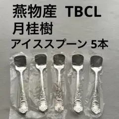 未使用】WEDGWOOD ウェッジウッド スワル タイニースプーン 5本セット
