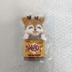 NEXZ SAUCIN SEIDEE セイディー SEITA セイタ