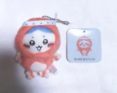 치이카와 たこイカ 쿠지 하치와레