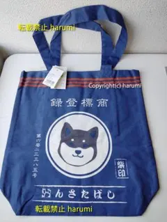 Item thumbnail for item 1ed4632f-88d1-4546-b848-d71e06a2d3d7