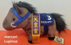 サラブレッドコレクション　GB ライスシャワー　３ 天皇賞　競馬