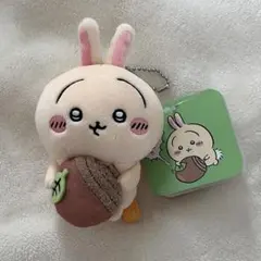 ちいかわ　うさぎだらけくじ　どんぐりDJ D賞のサムネイル