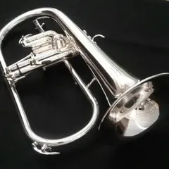 【希少】THE MARCATO フリューゲルホルン「FH100S」 Yahoo!オークション - マルカート フリューゲルホルン（FH100S)