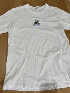 Item thumbnail for item 8f1290d1-fd3a-4f98-804f-5ed67c2a3eb1