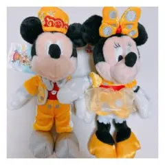 30周年ファイナル　ディズニーランド ぬいぐるみバッジ　ミッキー　ミニーセット