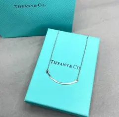 【限定価格】Tiffany & Co. シルバーTスマイルネックレス
